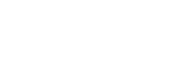 Logo de Fabrice Wislez photography - photographe de mariage à La Réunion